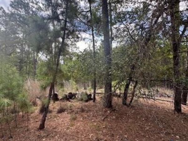 TBD Otto Lane & Red Fox RD , La Grange, TX 78945