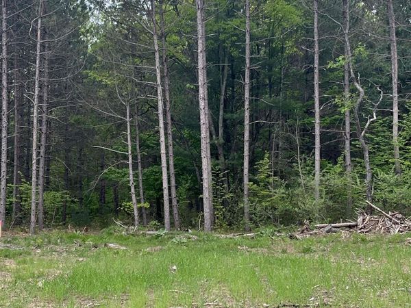 Theron Road, Traverse City, MI 49685