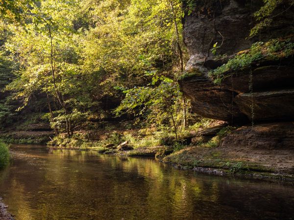 0 Mill Creek Rd , Nunnelly, TN 37137