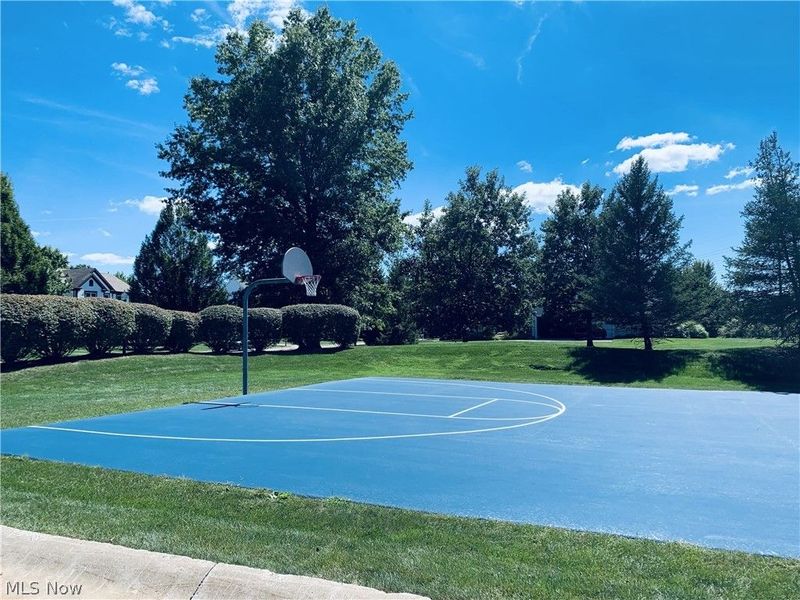 5427 Wilshire Park Drive, Hudson, OH 44236 Photo 40