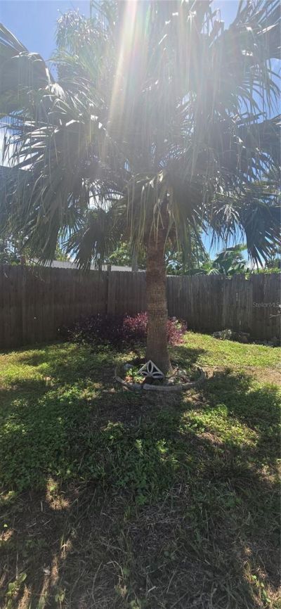 6954 Stone Road, Port Richey, FL 34668 Photo