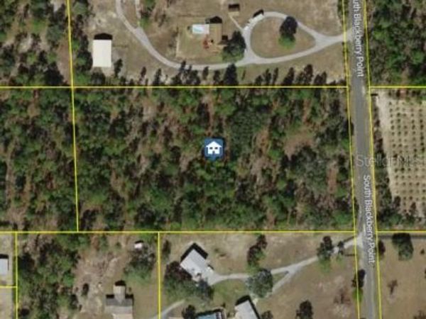 7346 S BLACKBERRY POINT , HOMOSASSA, FL 34446