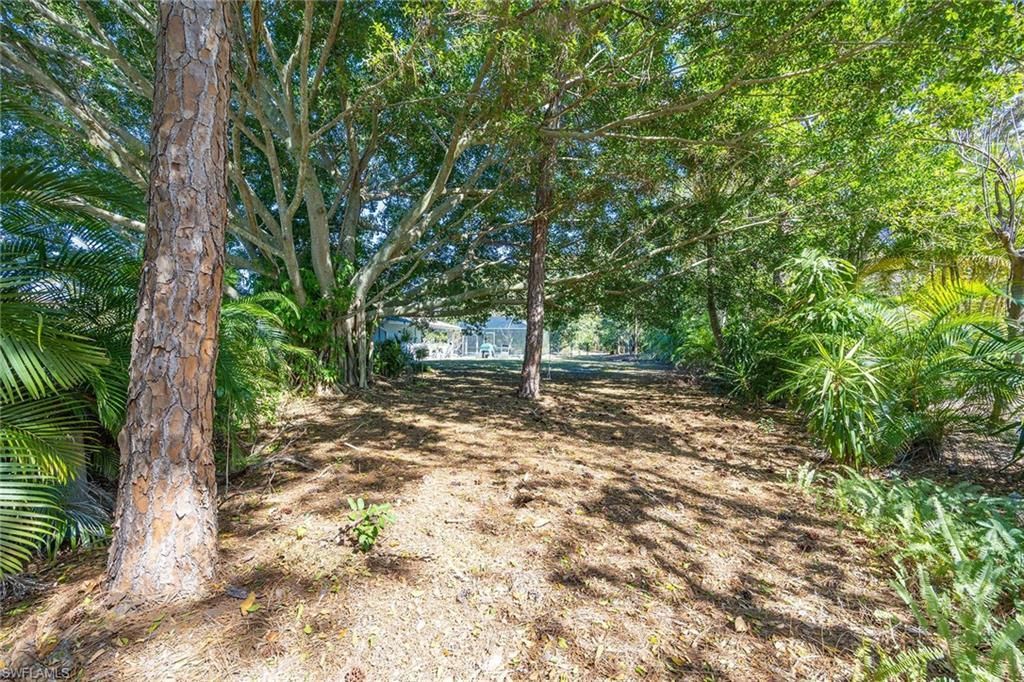 6574 Trail Blvd, Naples, FL 34108 Photo