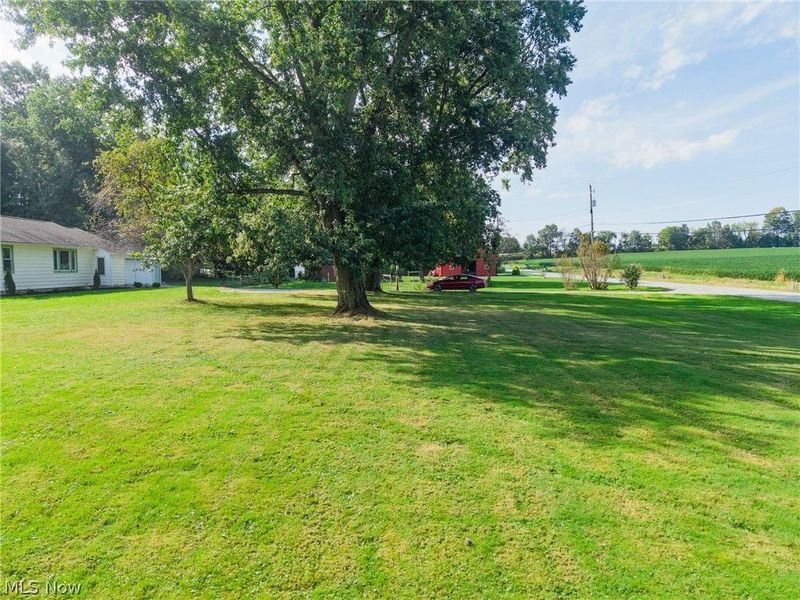 380 Barnard Road, Wooster, OH 44691 Photo 30