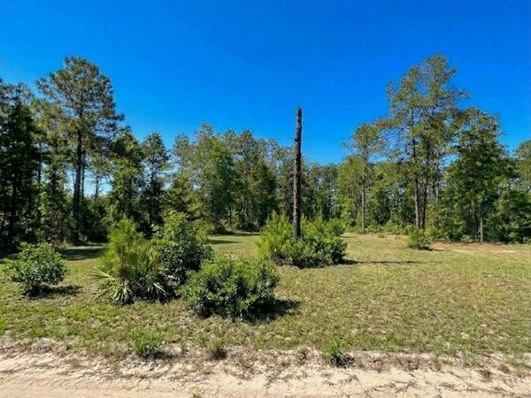 705 HICKORY NUT Trail, Satsuma, FL 32189