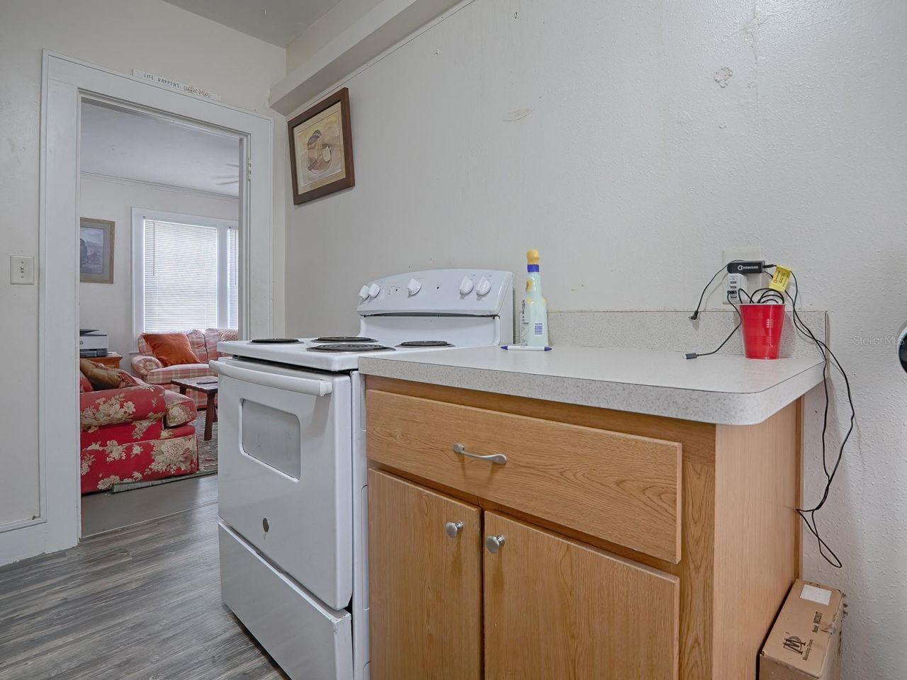422 & 426 E Citrus Avenue, Eustis, FL 32726 Photo