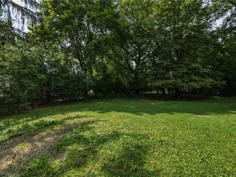 1517 Parkhill Road, Cleveland Heights, OH 44121 Photo 42