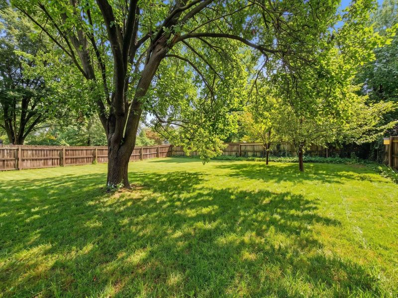 3338 Woods Mill Drive, Hilliard, OH 43026 Photo 36