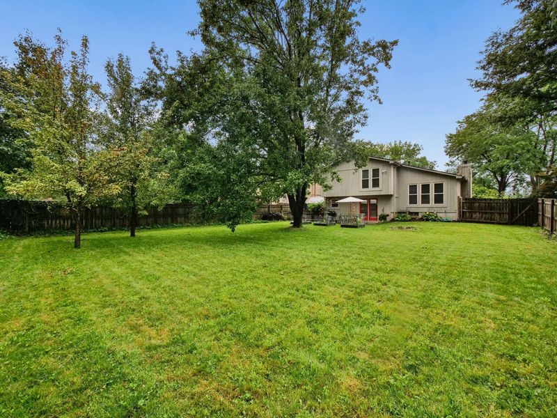 3338 Woods Mill Drive, Hilliard, OH 43026 Photo 39