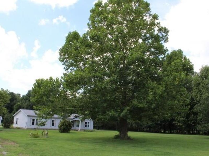 3174 State Route 529, Cardington, OH 43315 Photo 1