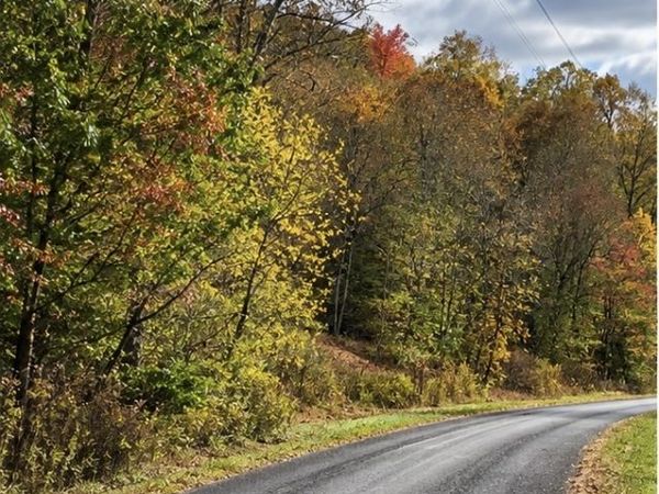 0 Carpenter Rd , Dellrose, TN 38453