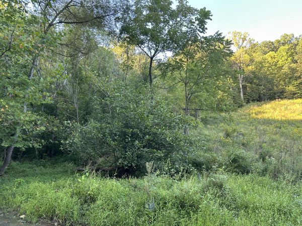 1261 Cave Springs Road, Rogersville, TN 37857