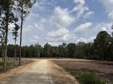 25021 La Hwy 442, Independence, LA 70443