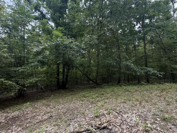 V/L 10AC Oakhaven Drive, Afton, MI 49705