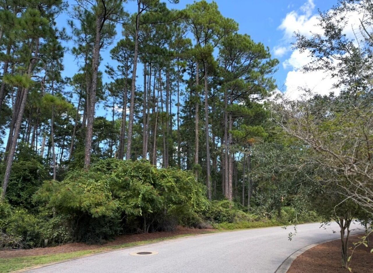 Lot 1 Cox Road, Santa Rosa Beach, FL 32459 Main Photo
