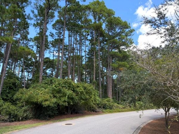 Lot 1 Cox Road, Santa Rosa Beach, FL 32459