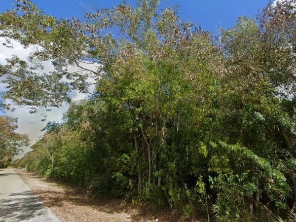 112 Leroy AVE , LEHIGH ACRES, FL 33936