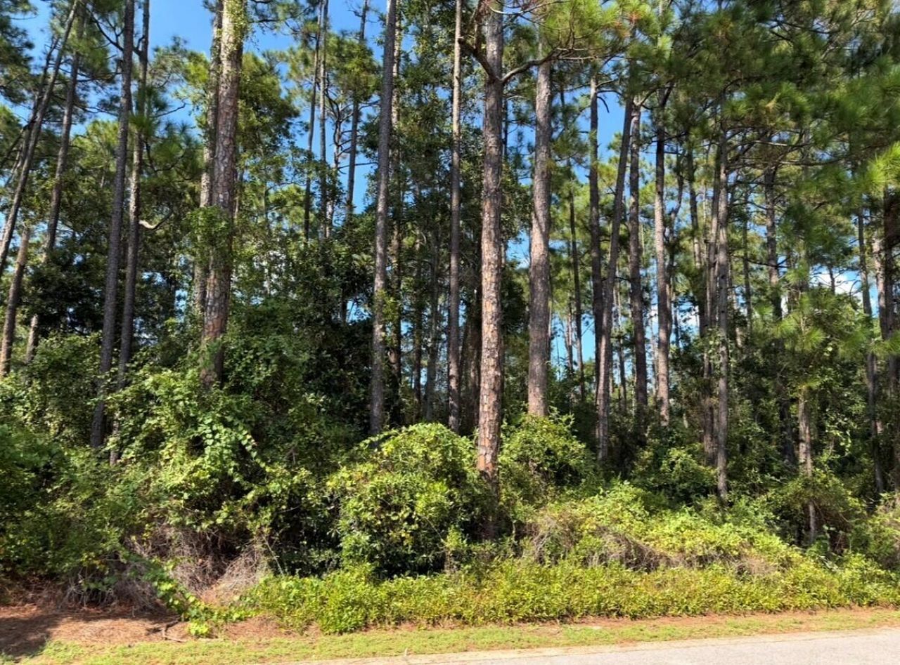 Lot 2 Cox Road, Santa Rosa Beach, FL 32459 Main Photo