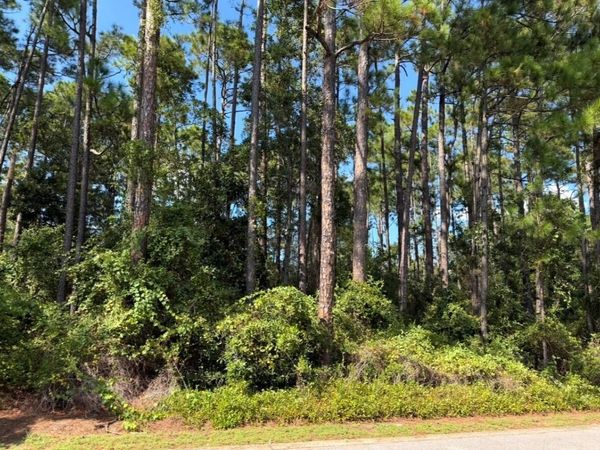Lot 2 Cox Road, Santa Rosa Beach, FL 32459