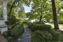 815 Poinsettia Street photo 4