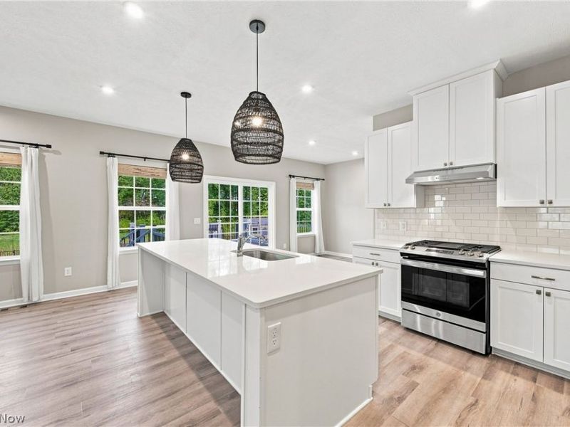 35524 Crystal Creek Court, Grafton, OH 44044 Photo 8