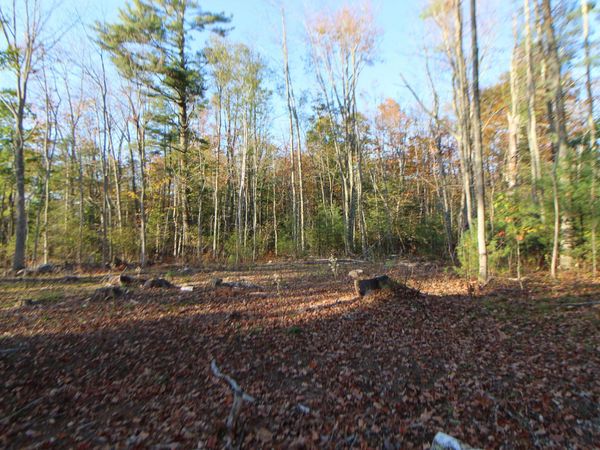 53-03 Race Course Road , Bucksport, ME 04416