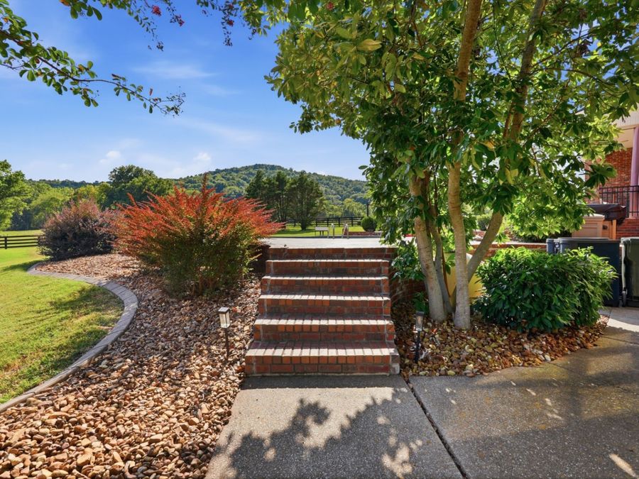 Property Image 64