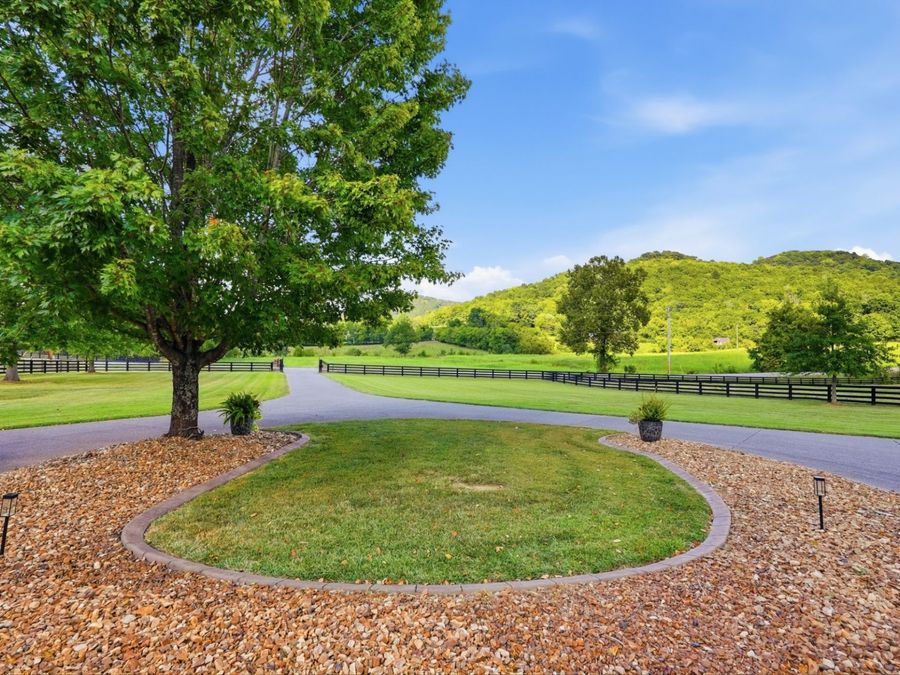 Property Image 65