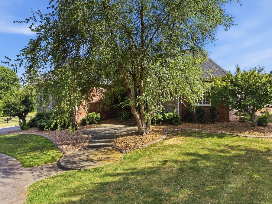 Property Image 79
