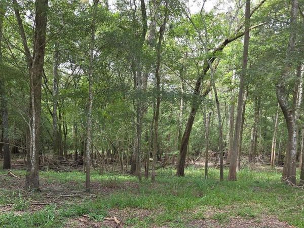 UNASSIGNED , OLD TOWN, FL 32680