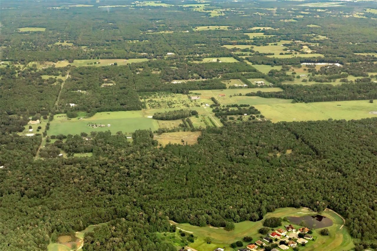 Crum Road, Brooksville, FL 34604 Photo