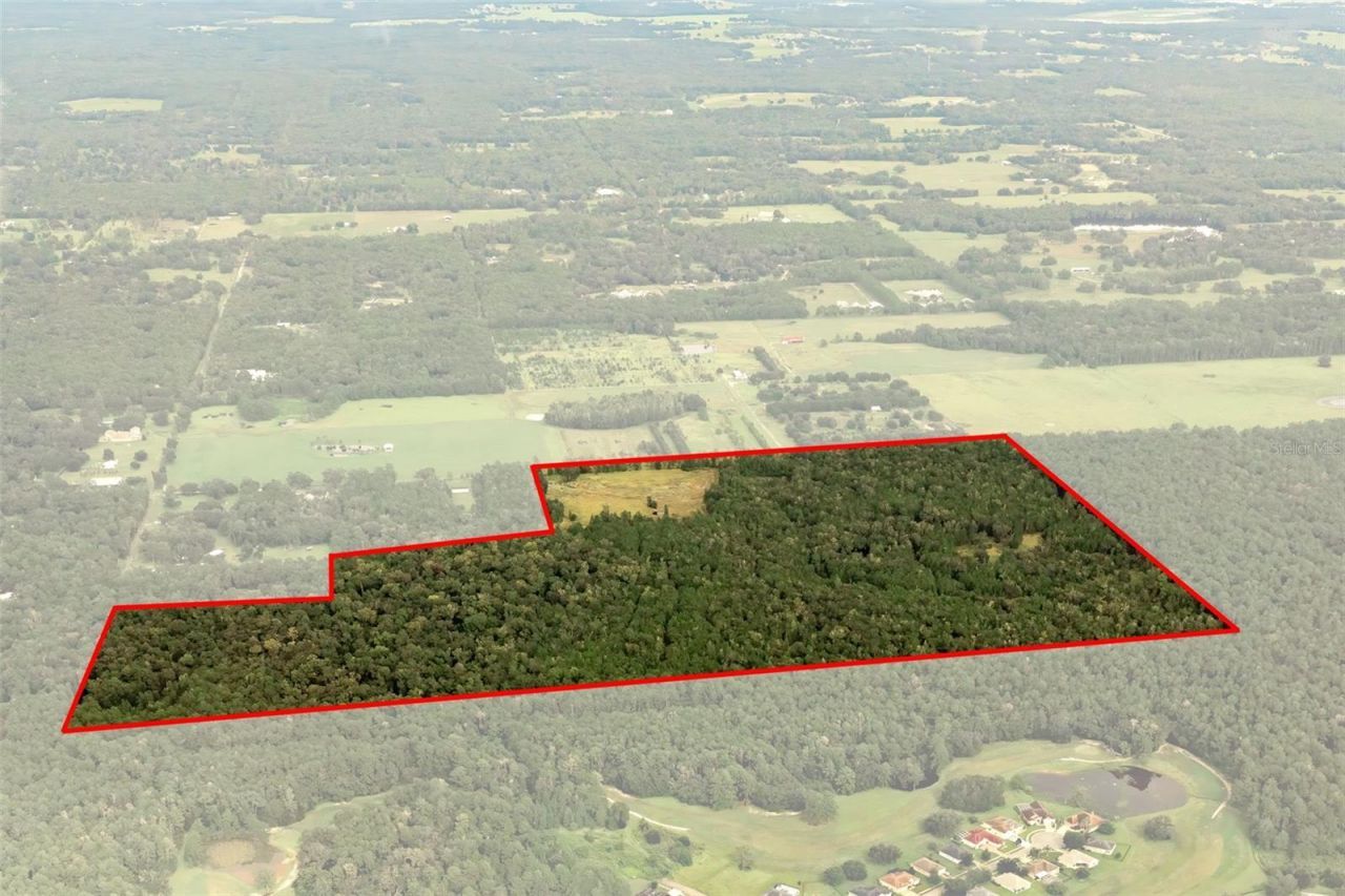 Crum Road, Brooksville, FL 34604 Photo