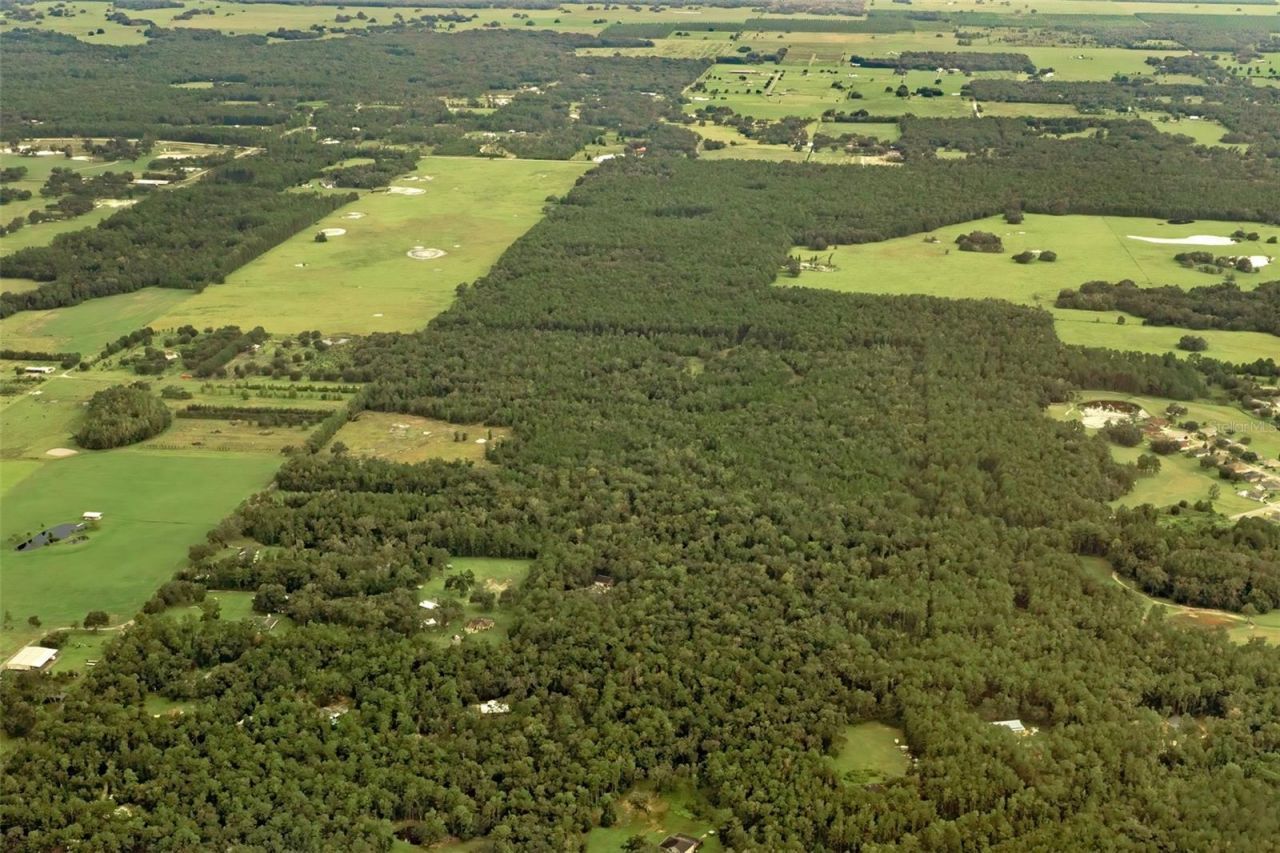 Crum Road, Brooksville, FL 34604 Photo
