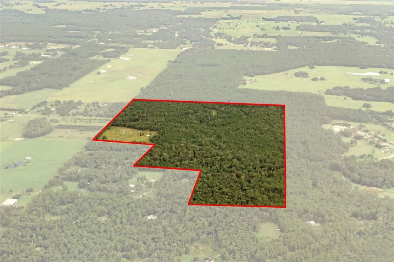 Crum Road, Brooksville, FL 34604 Photo