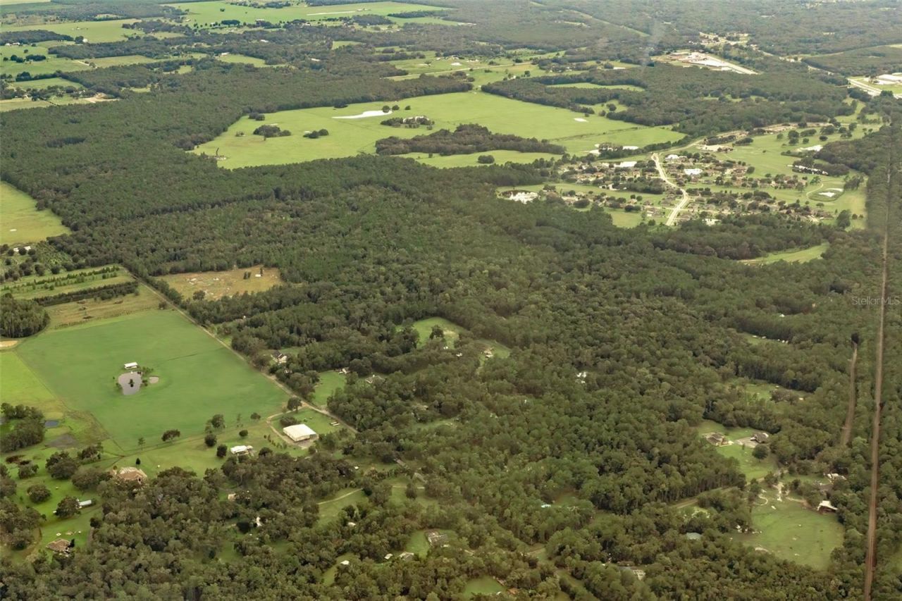 Crum Road, Brooksville, FL 34604 Photo