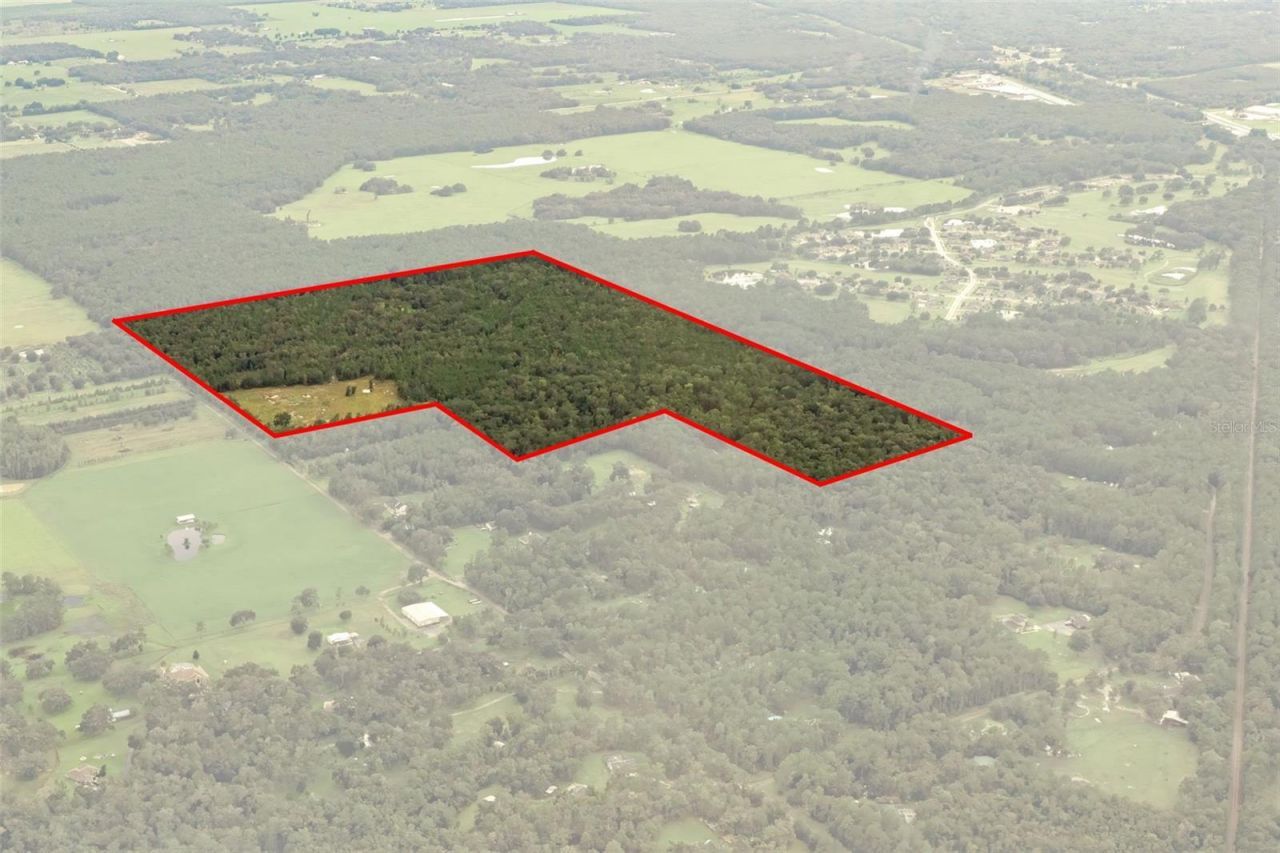 Crum Road, Brooksville, FL 34604 Photo