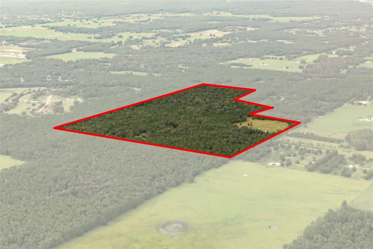 Crum Road, Brooksville, FL 34604 Photo