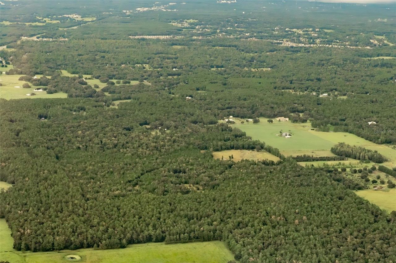 Crum Road, Brooksville, FL 34604 Photo