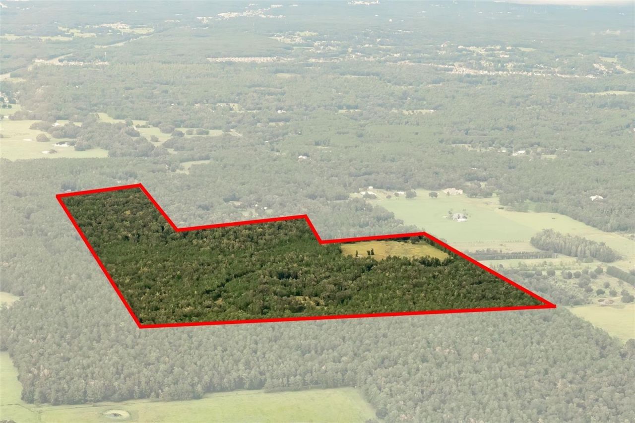 Crum Road, Brooksville, FL 34604 Photo
