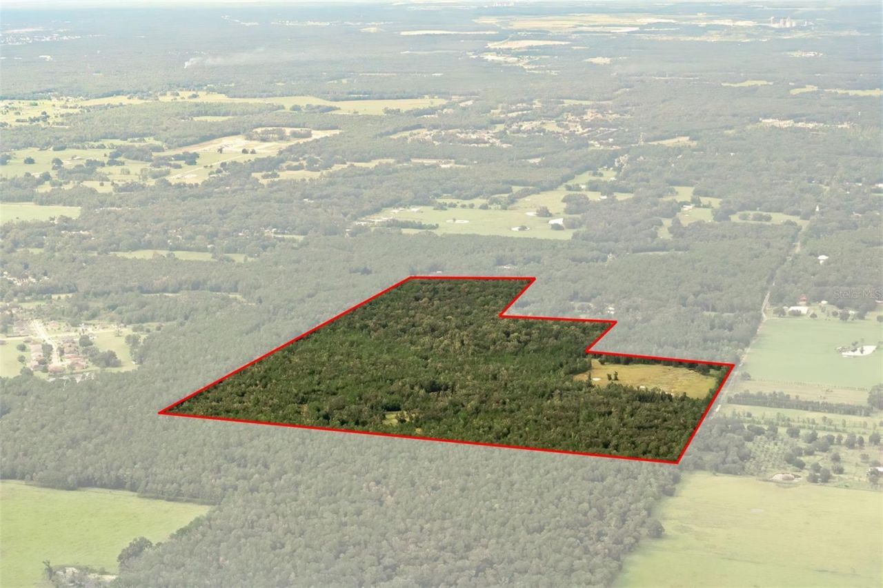 Crum Road, Brooksville, FL 34604 Photo