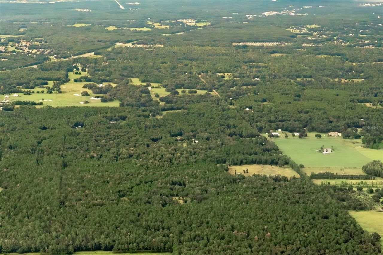 Crum Road, Brooksville, FL 34604 Photo