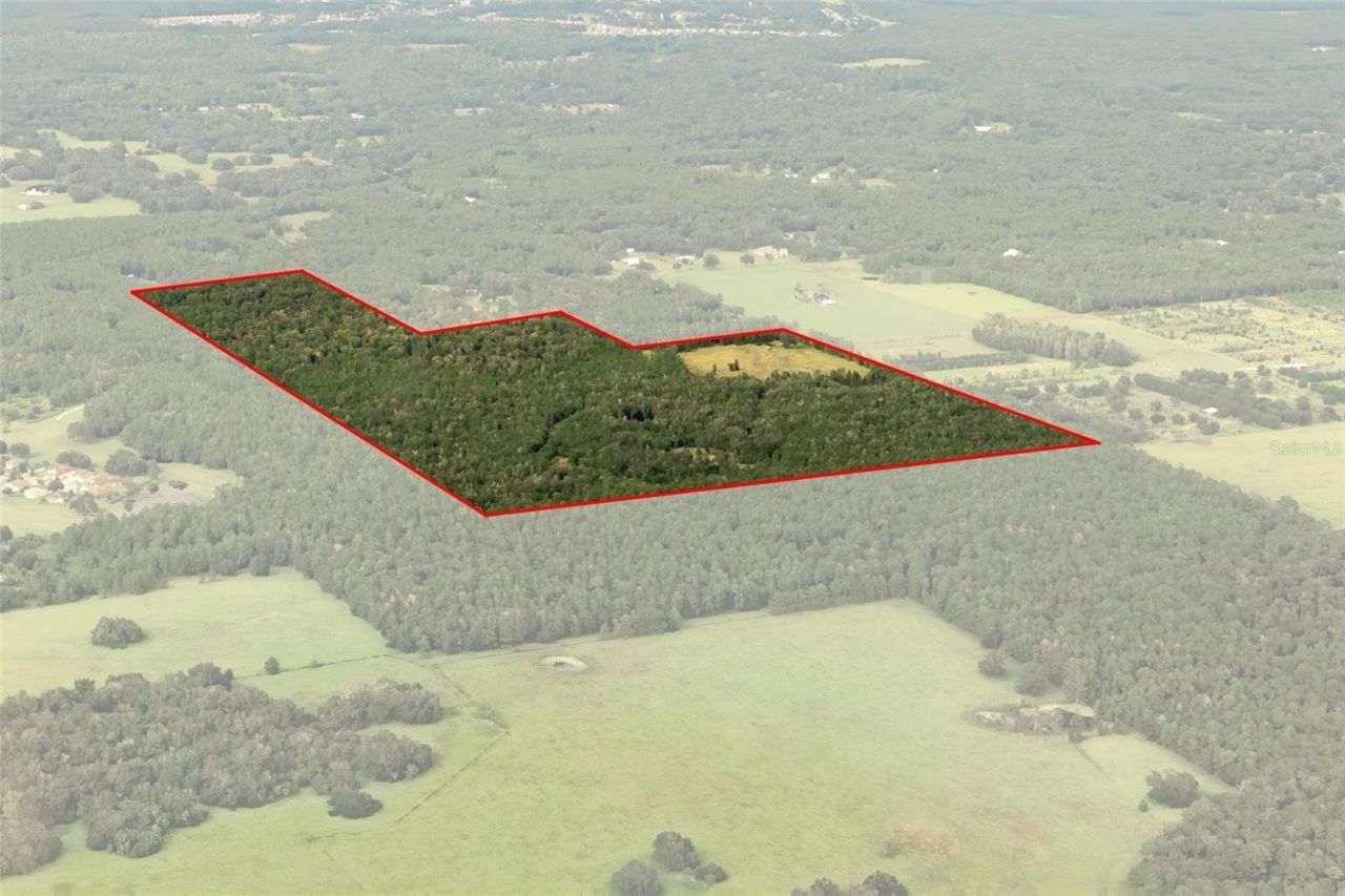Crum Road, Brooksville, FL 34604 Photo