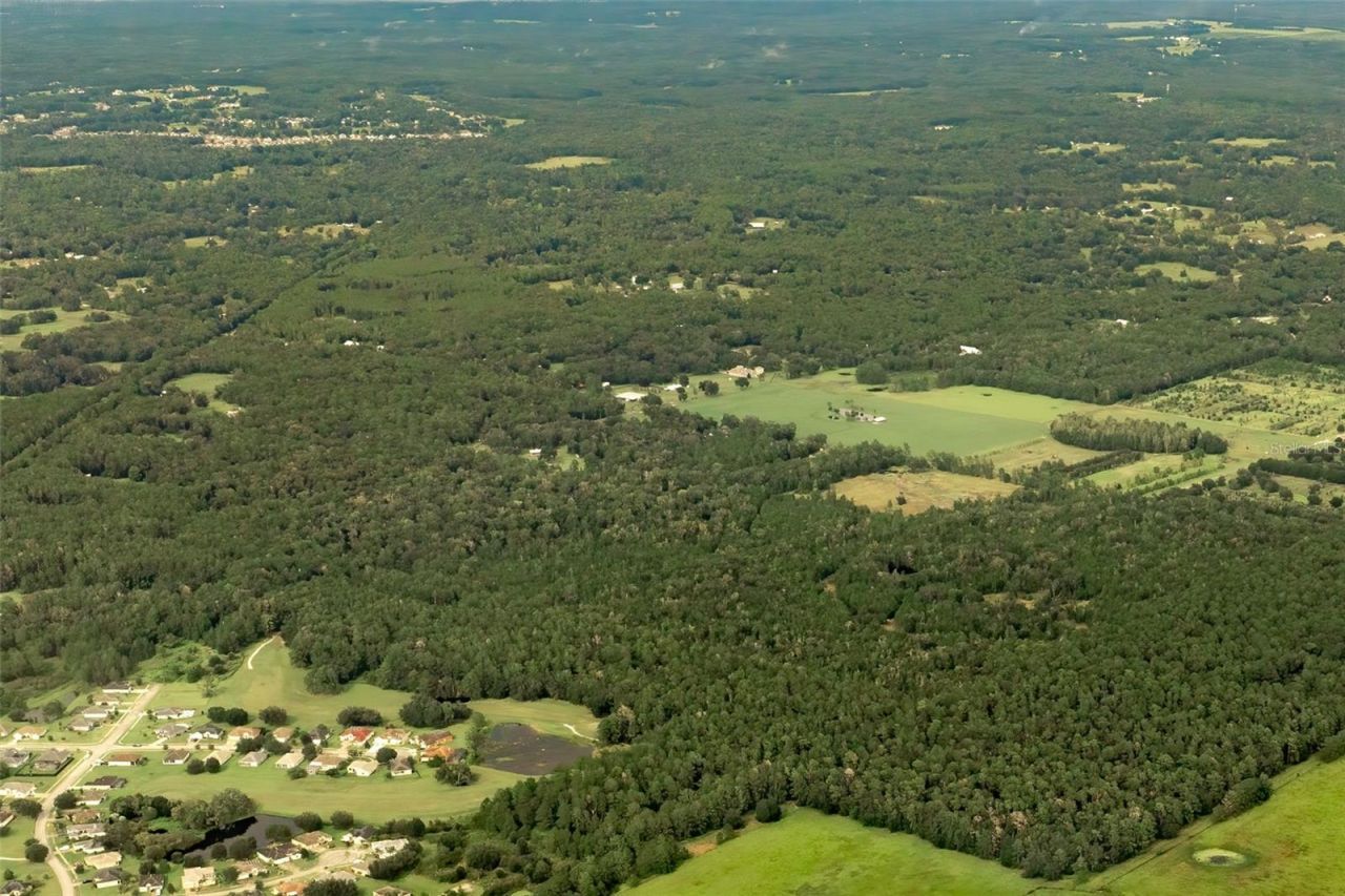 Crum Road, Brooksville, FL 34604 Photo