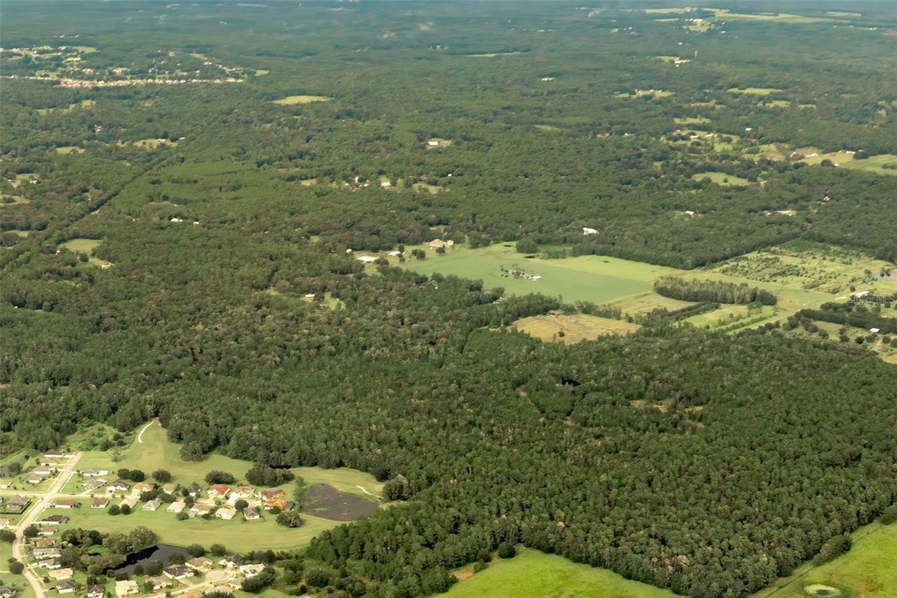 Crum Road, Brooksville, FL 34604 Photo
