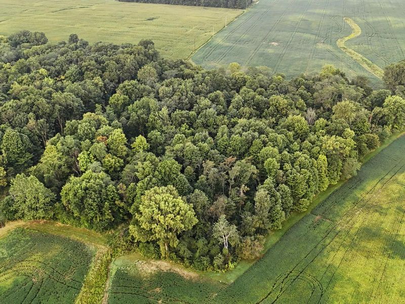 3602 State Route 598 Road, Crestline, OH 44827 Photo 4