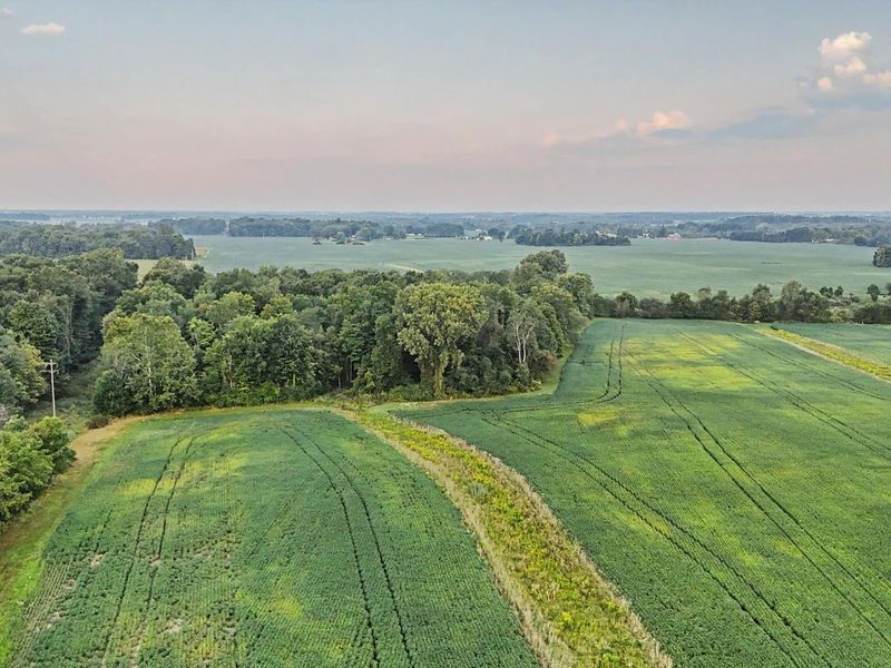 3602 State Route 598 Road, Crestline, OH 44827 Photo 5