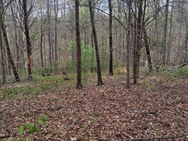 0 W GARRETS CREEK RD , Westmoreland, TN 37186