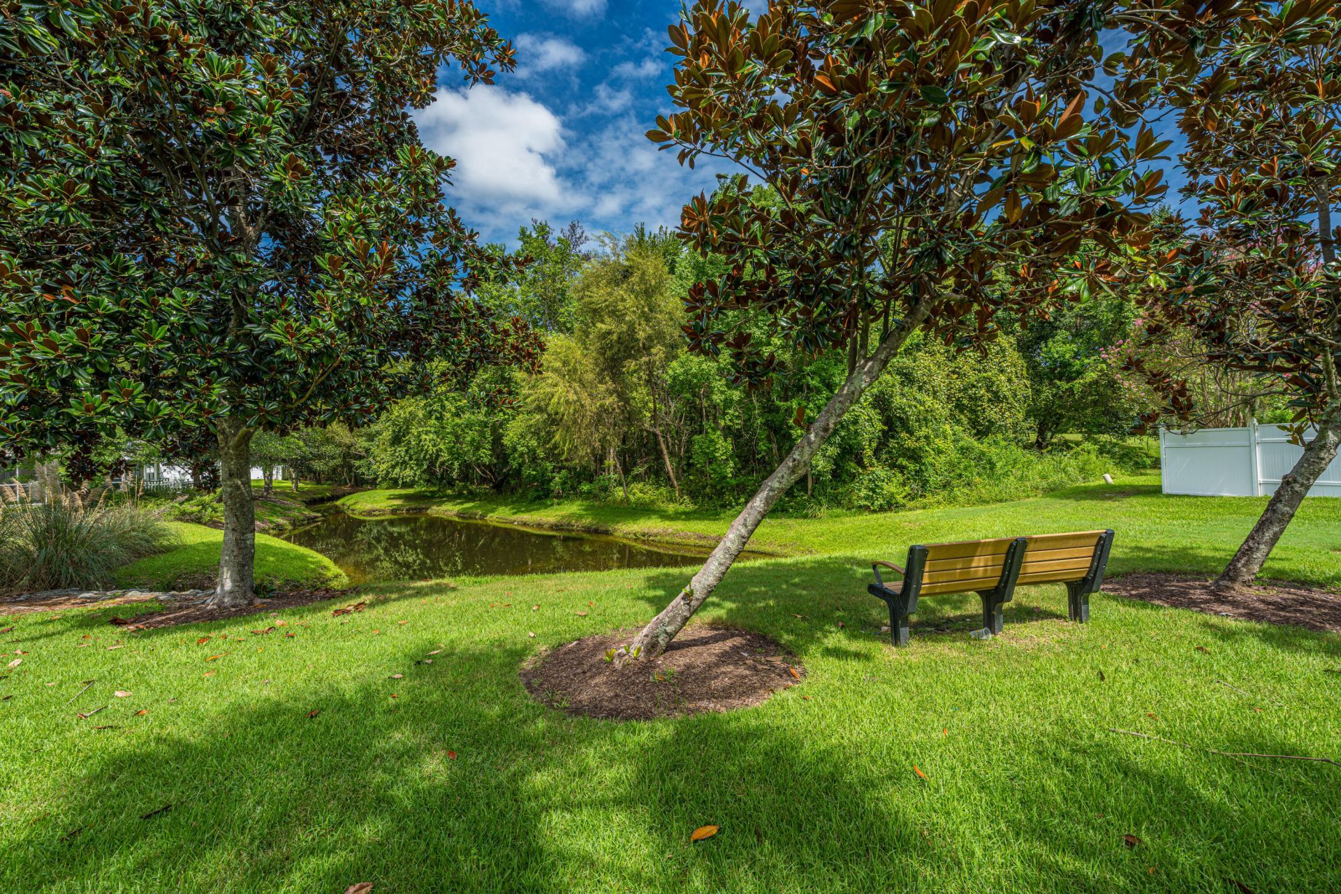 151 Darcy Avenue Photo 26