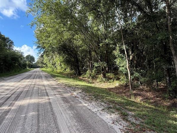 1166 HONEYTREE STREET , BUNNELL, FL 32110