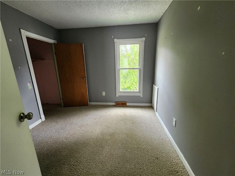 115 W Pine Street, Lisbon, OH 44432 Photo 11